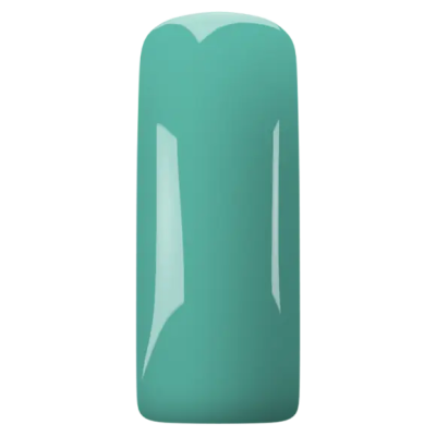 Геллак Gelpolish Mint 1 Magnetic Nail Design - 2 Геллак Gelpolish Mint 1 Magnetic Nail Design - 2