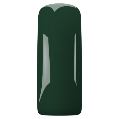 Gelpolish Green 6 | Зелен гел лак Magnetic  - 2