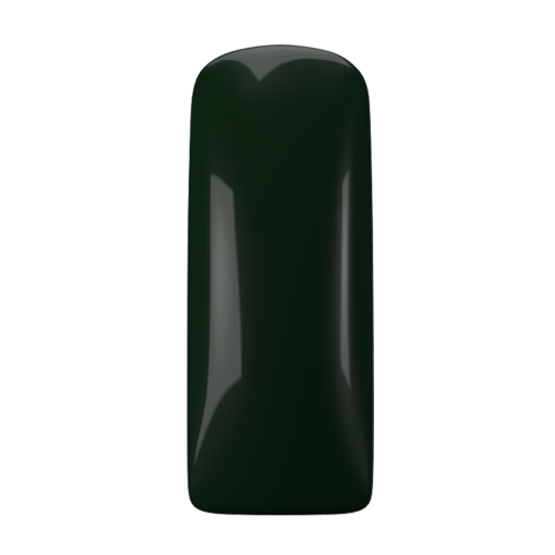 Геллак Rainforest TPO Free Magnetic Nail Design - 1