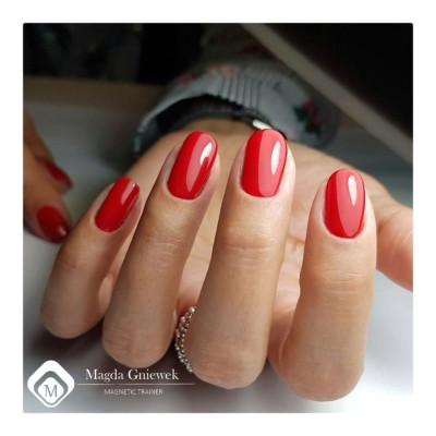 Геллак Mey's Choice 2019 TPO Free Magnetic Nail Design - 8