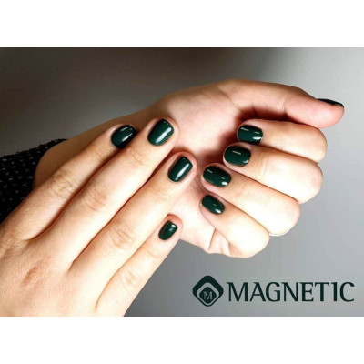 Геллак Rainforest TPO Free Magnetic Nail Design - 4