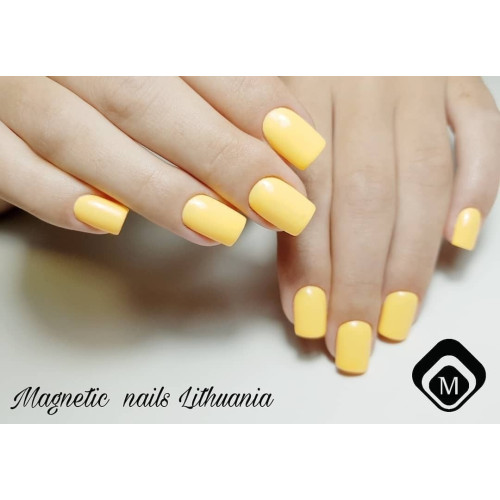 Геллак Butterscotch TPO-FREE Magnetic Nail Design - 7