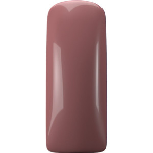 NXT Polish Brown Brick