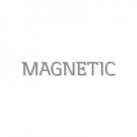 Swarovski Magnetic Logo Small