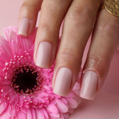 Blushes Classy TPO Free Magnetic Nail Design - 6 Blushes Classy TPO Free Magnetic Nail Design - 6