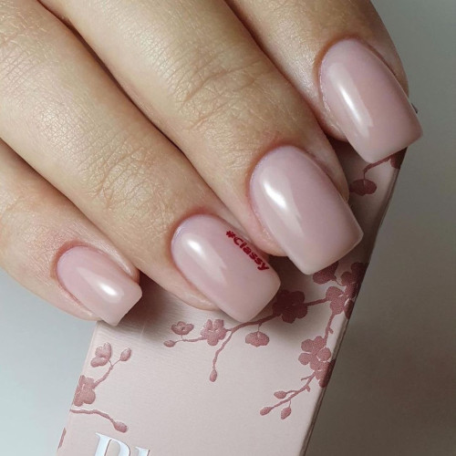 Blushes Classy TPO Free Magnetic Nail Design - 10 Blushes Classy TPO Free Magnetic Nail Design - 10