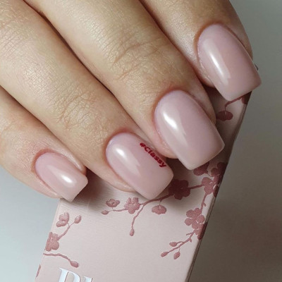 Blushes Classy TPO Free Magnetic Nail Design - 10 Blushes Classy TPO Free Magnetic Nail Design - 10