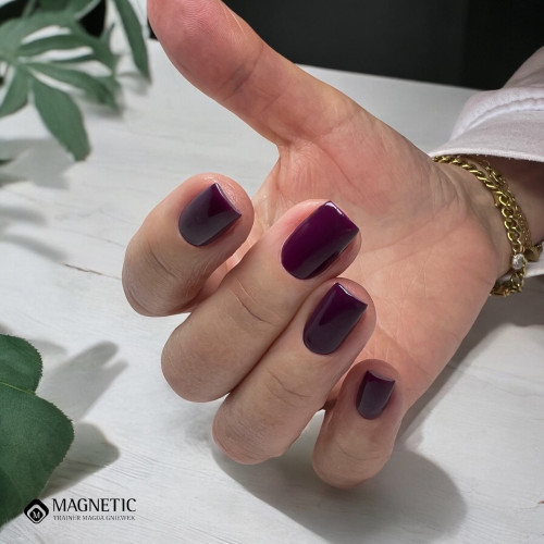 Геллак Imperial  TPO Free Magnetic Nail Design - 5